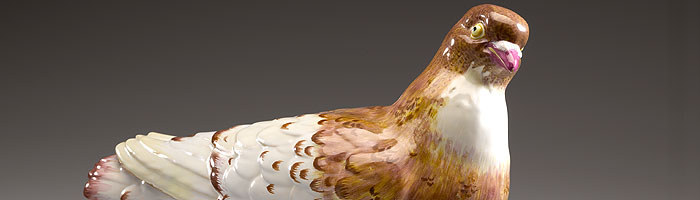 Picture: Pigeon, detail